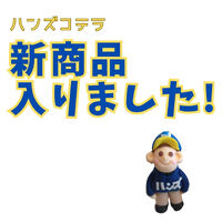 ブログ画像